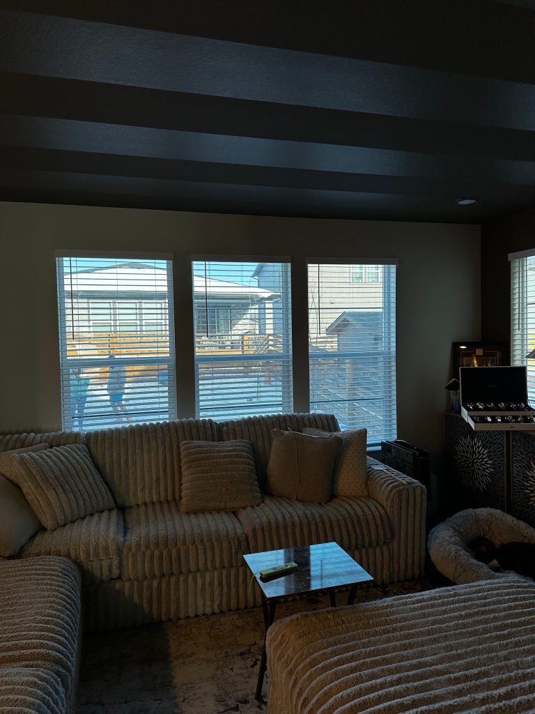 Home Window Tint